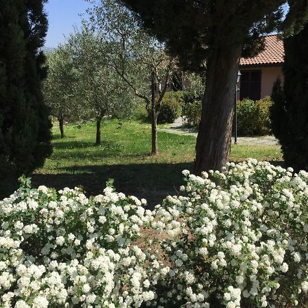 Villa Il Principino Country Resort Винчи Экстерьер фото